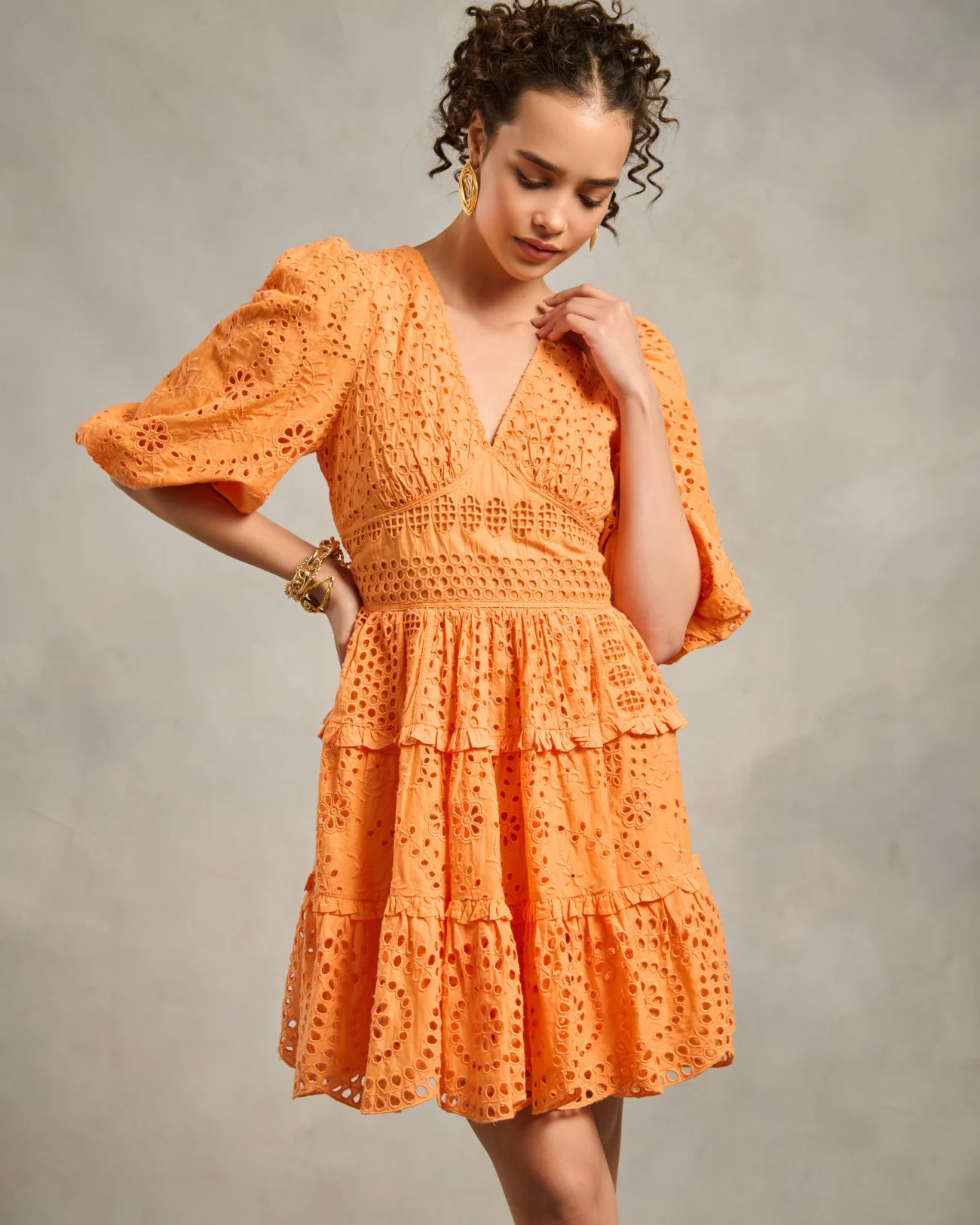 Serena Schiffli Dress - Image 5